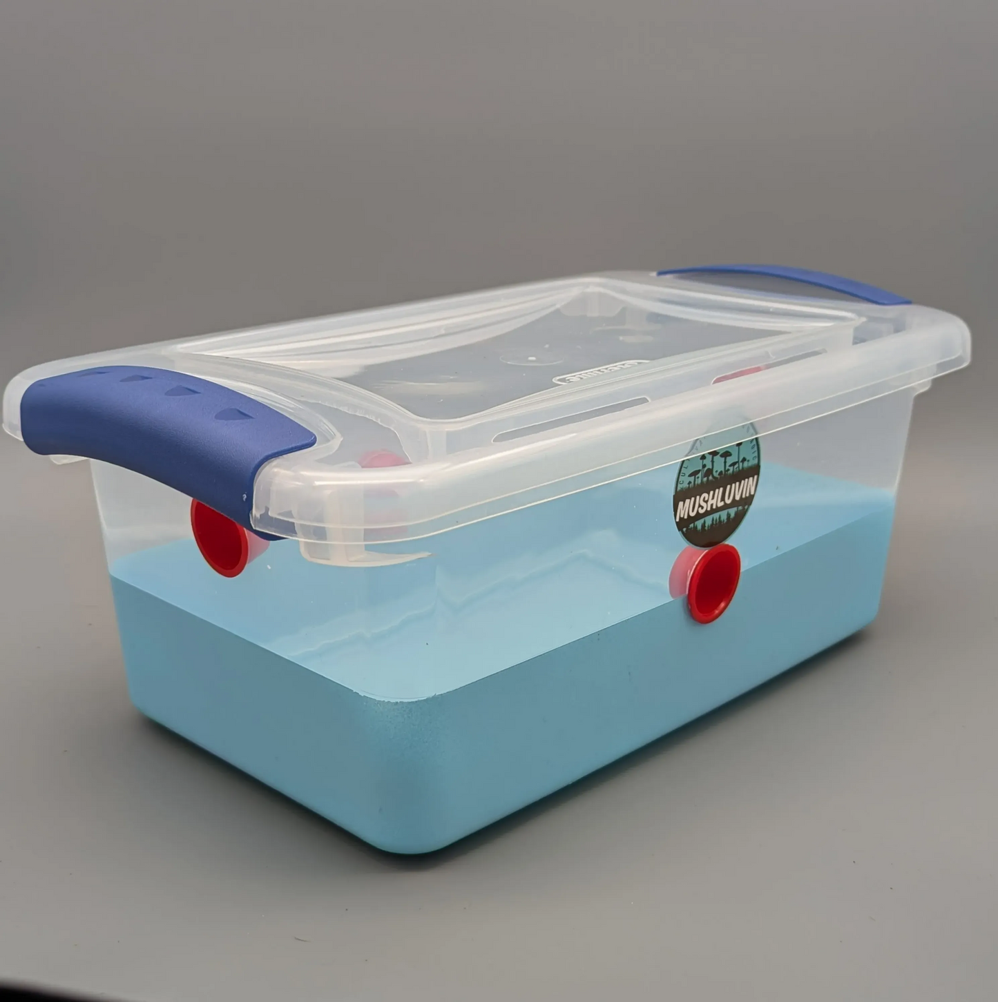 MiniLuvin Monotub – 7.5qt Custom Design