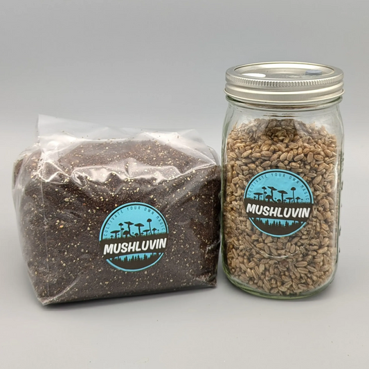 Mini Luvin Refill Kit – LuvGrain Jar & LuvSub CVG